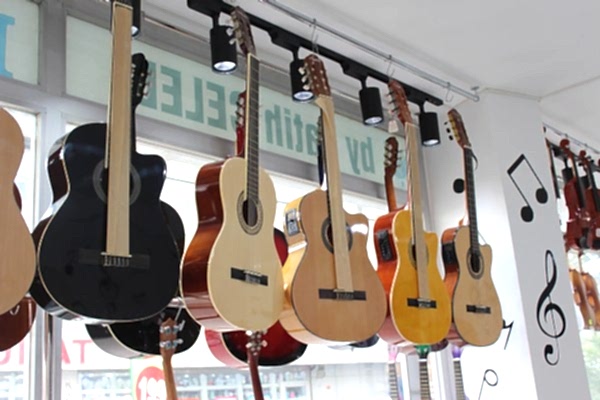 Gitar Çeşitleri